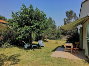 Maison lumineuse avec jardin, 3 ch., proche centre de Céret, jusqu'à 6 pers., animaux bienvenus - FR-1-703-49